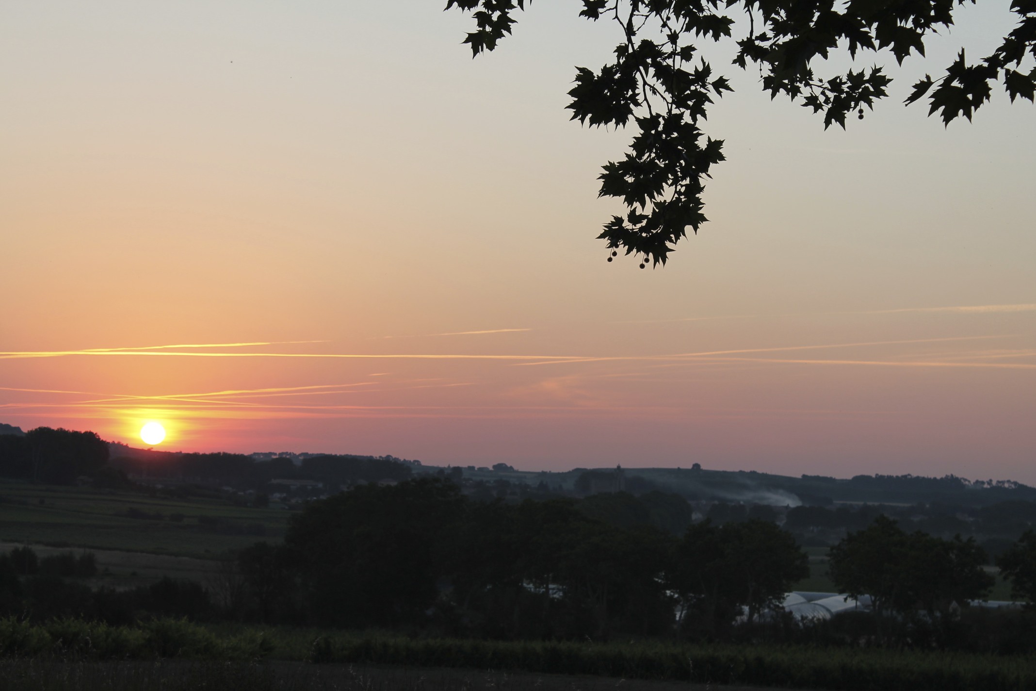 Near Capestang